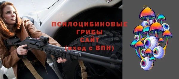 Альфа ПВП Ладушкин