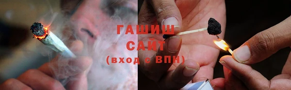стаф Ладушкин
