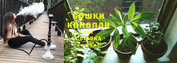 стаф Ладушкин