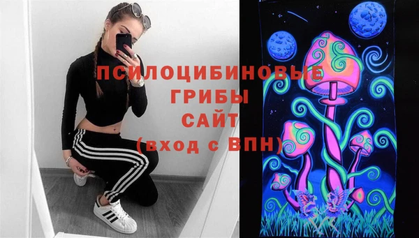 соль ск Лабытнанги