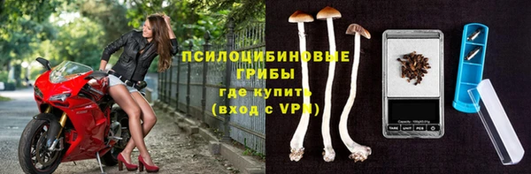 стаф Ладушкин