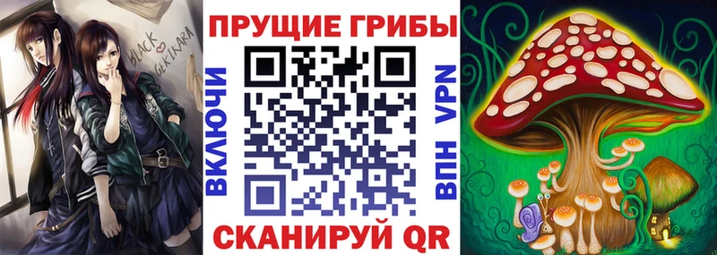 сколько стоит  гидра зеркало  Галлюциногенные грибы Psilocybine cubensis  Шумиха 